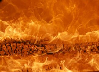 Budowanie marki online Budowanie marki online