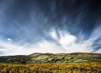 Jak dbać o miotłę?