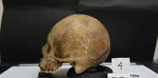 Antropologia