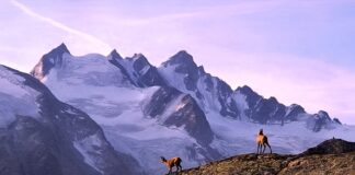 Gdzie jechać na trekking?