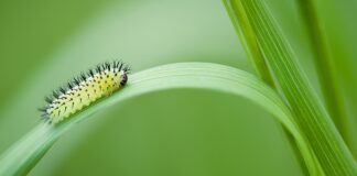 Budowanie ścieżki kariery i planowanie rozwoju