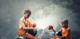 Jak czyscic szczotkę z naturalnego włosia?