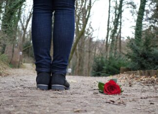 Jaki miód na stany depresyjne? Jaki miód na stany depresyjne?
