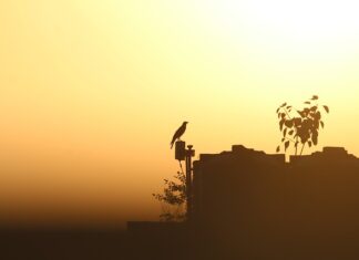 Jak pozbyć się nadmiernej potliwości?