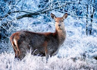 W czym biegać w zimie? W czym biegać w zimie?