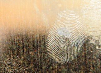 Jaki smar do nart na zimno? Jaki smar do nart na zimno?